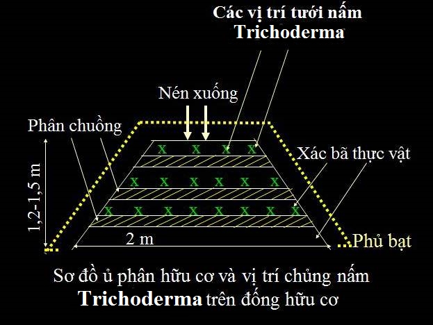 Sơ đồ ủ phân vi sinh